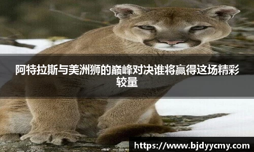 阿特拉斯与美洲狮的巅峰对决谁将赢得这场精彩较量